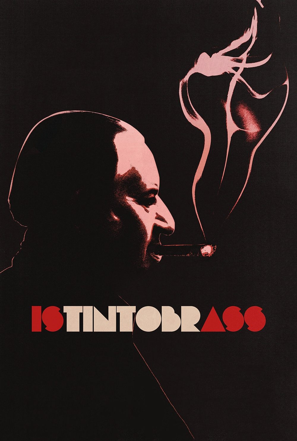 Affiche du film Istintobrass