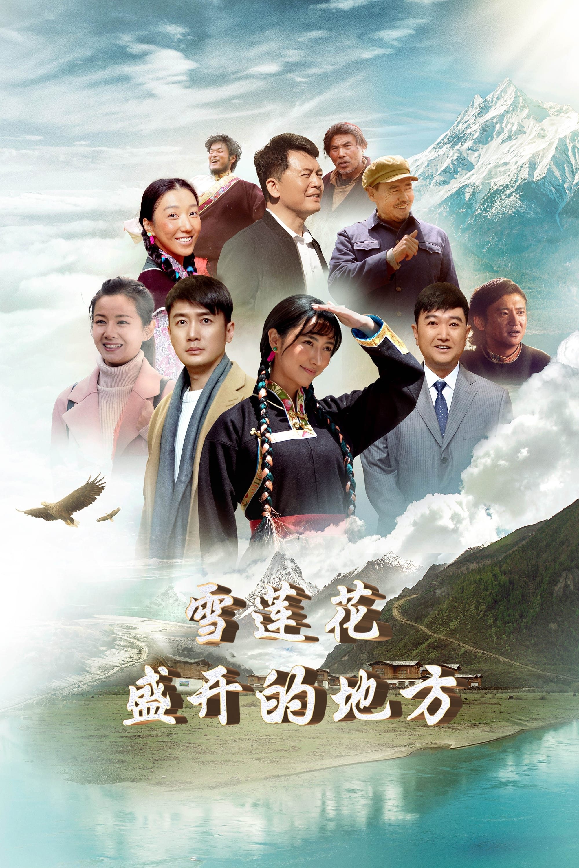 Poster de 雪莲花盛开的地方