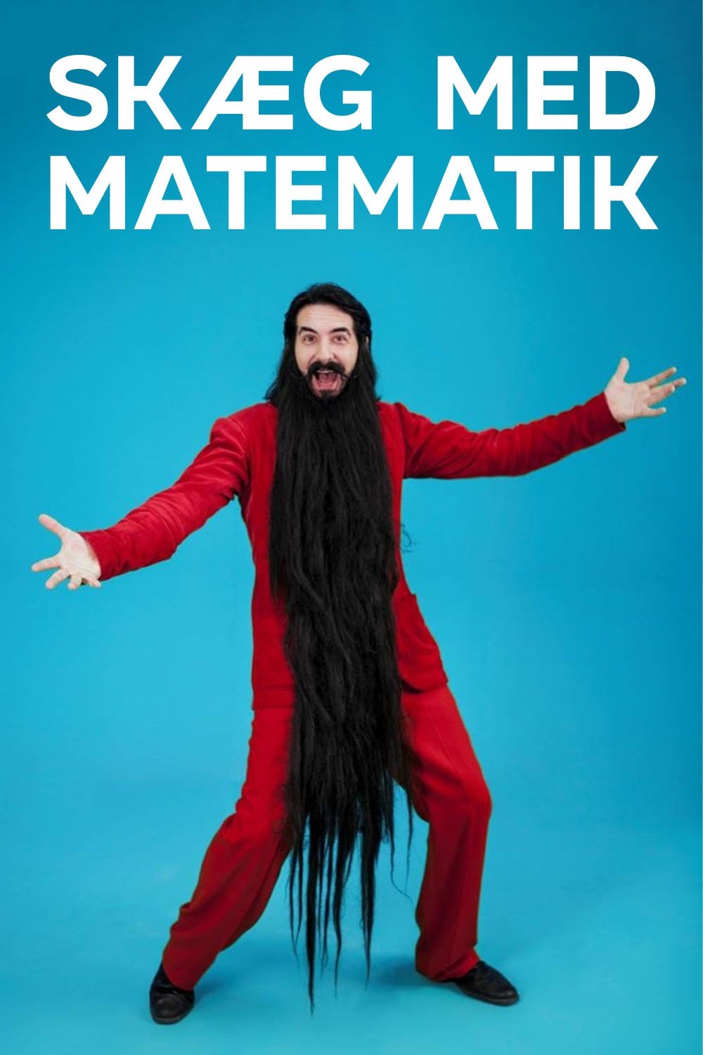 Poster de Skæg med matematik