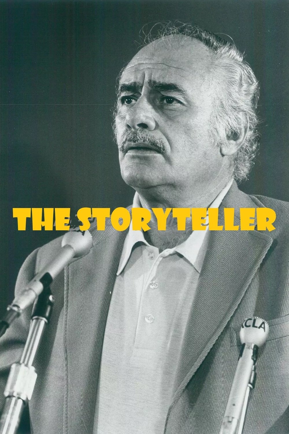 Poster de The Storyteller