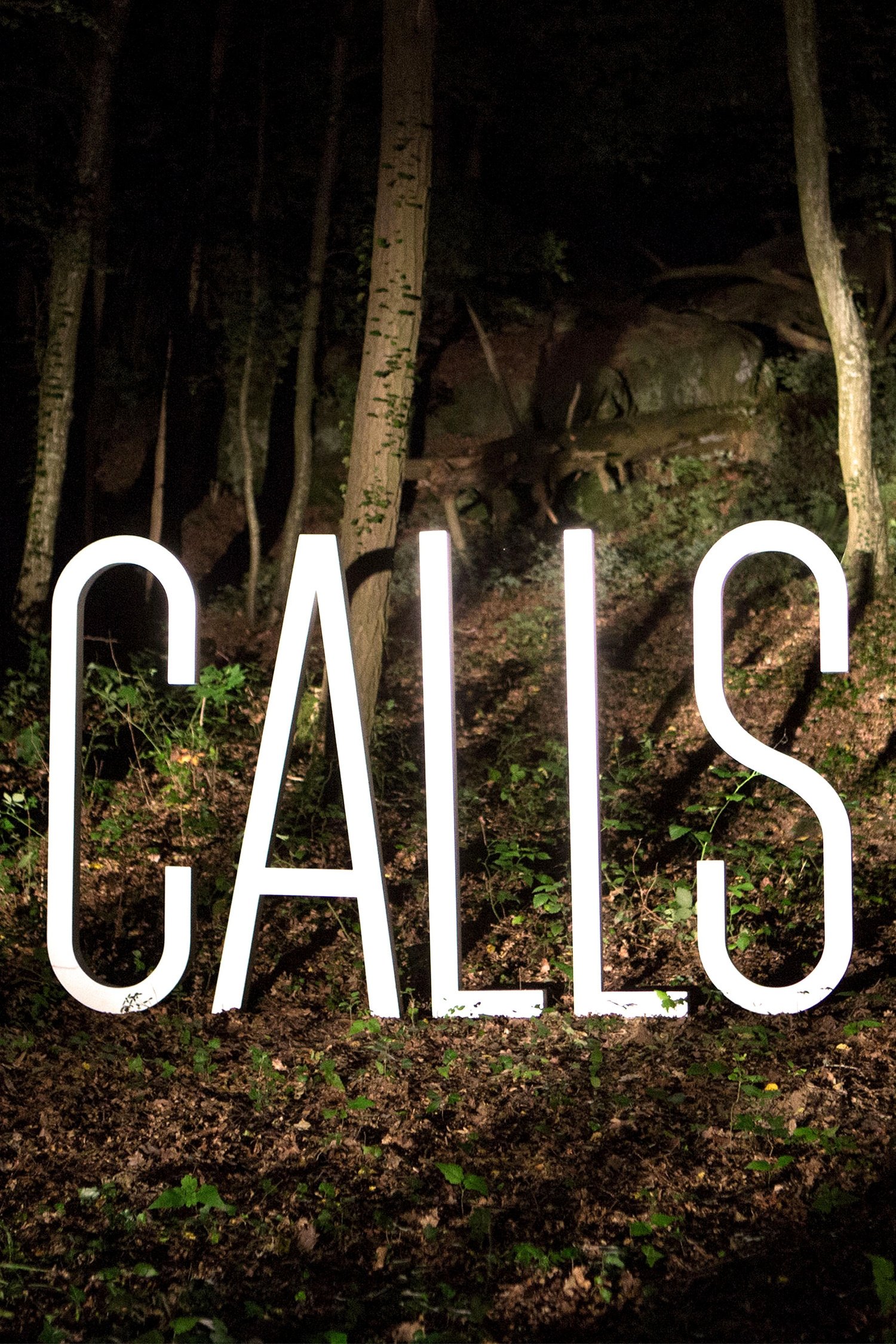 Poster de Calls