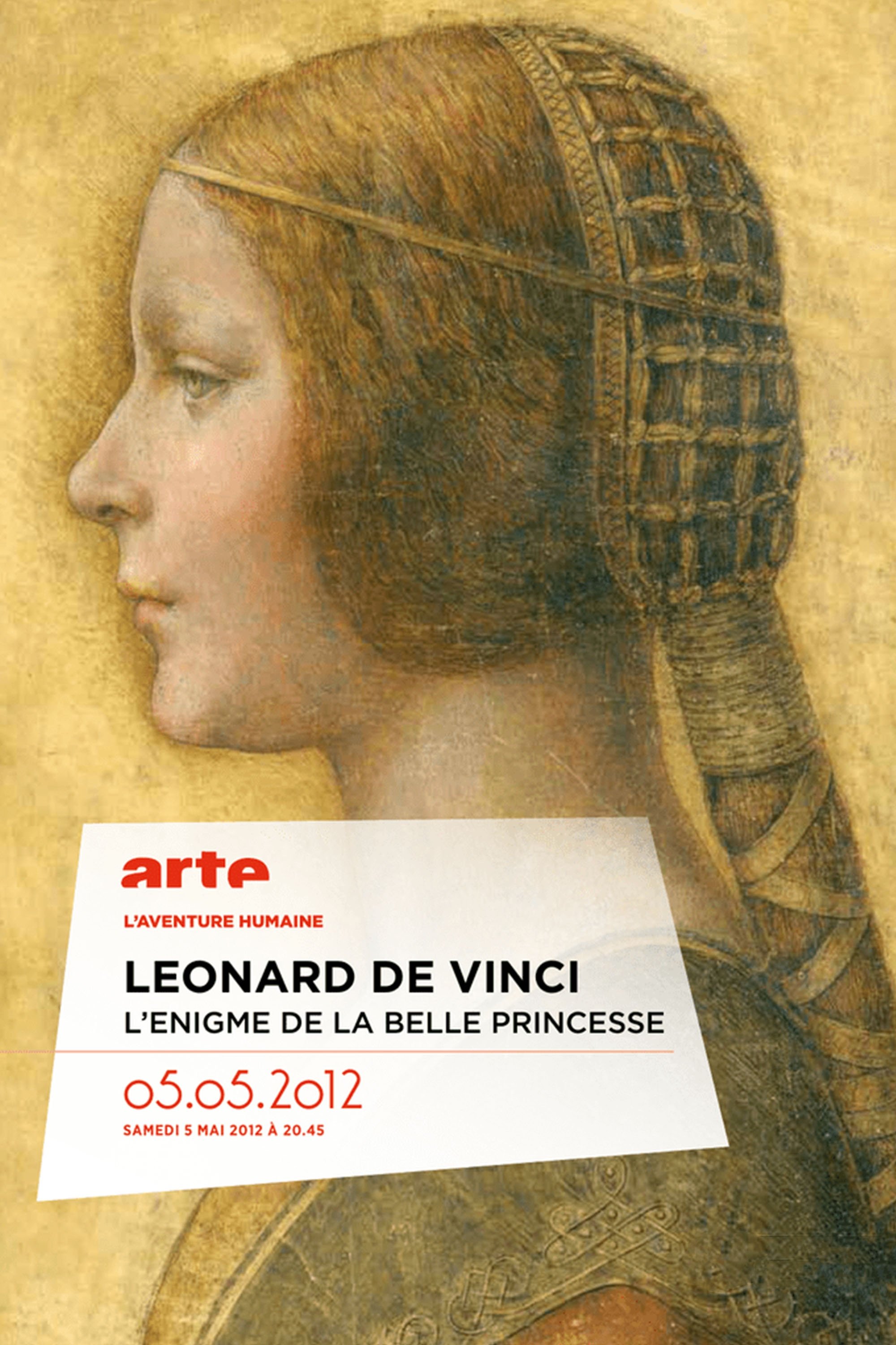 Poster de L'énigme de "La belle princesse" - Léonard de Vinci
