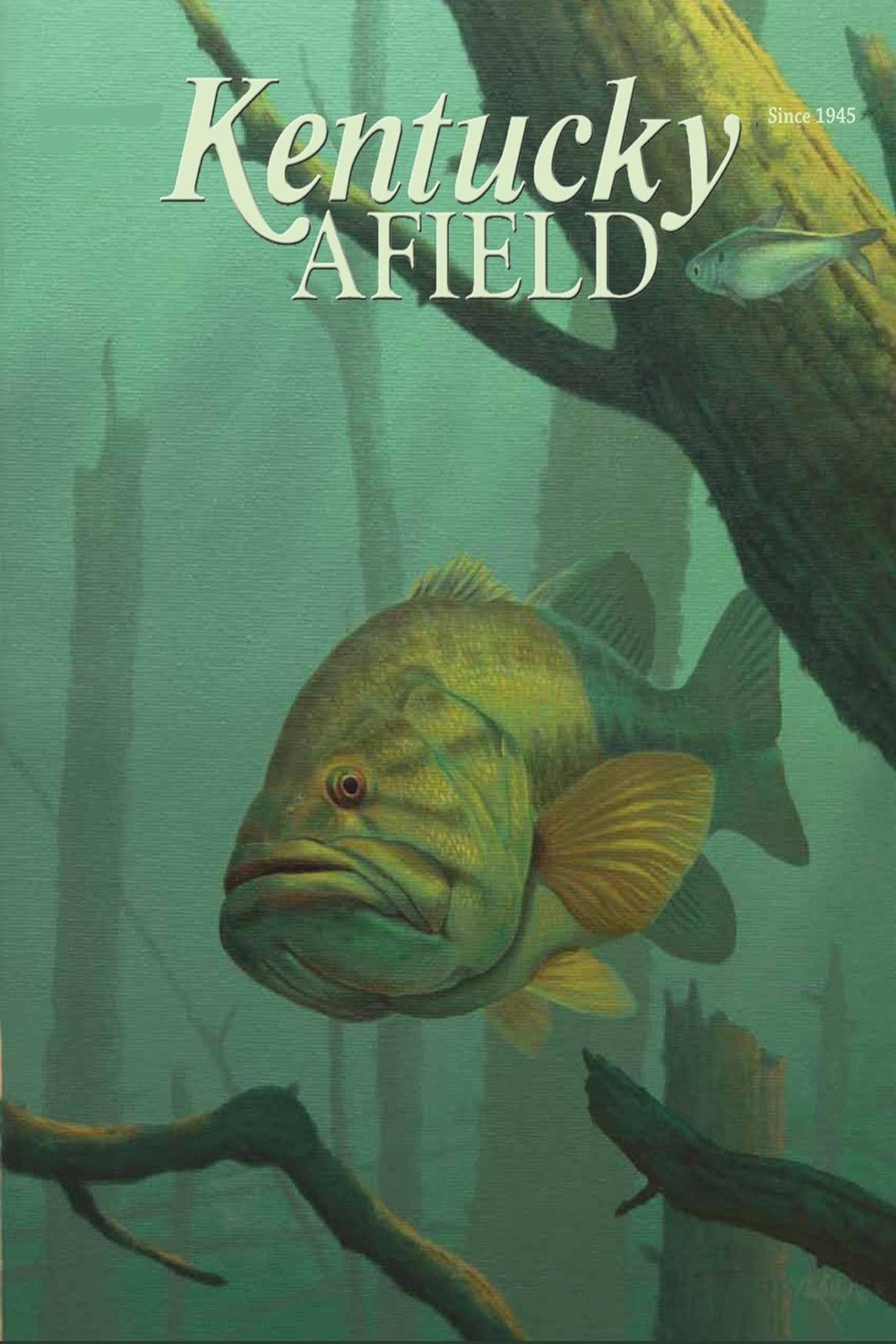 Poster de Kentucky Afield