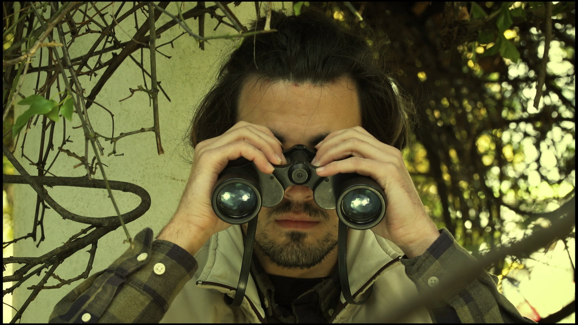 Director