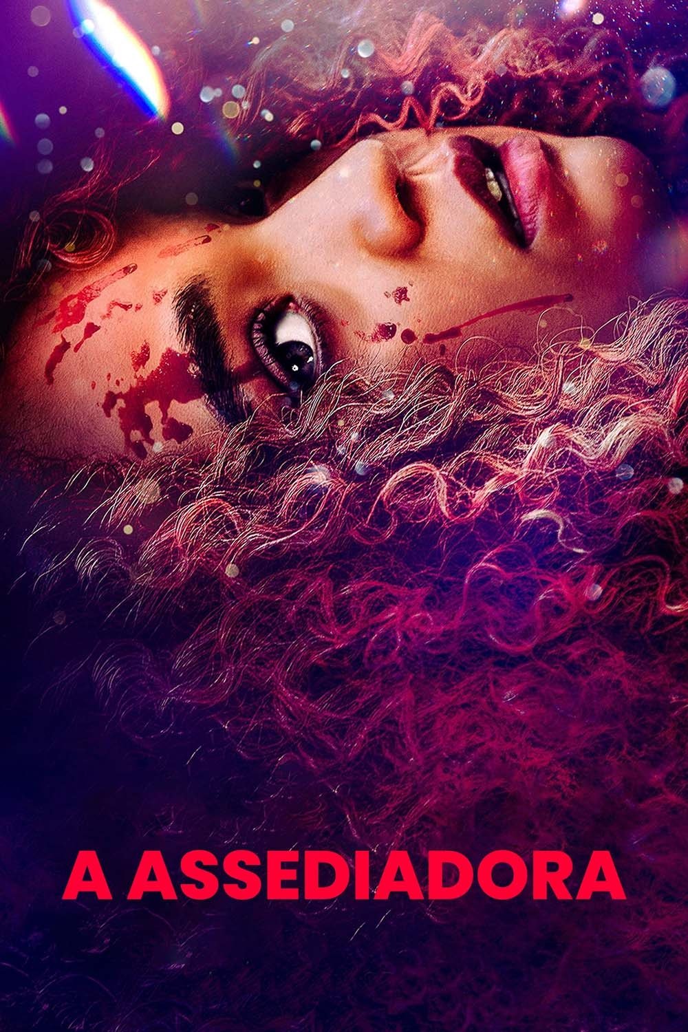 Poster de A Assediadora