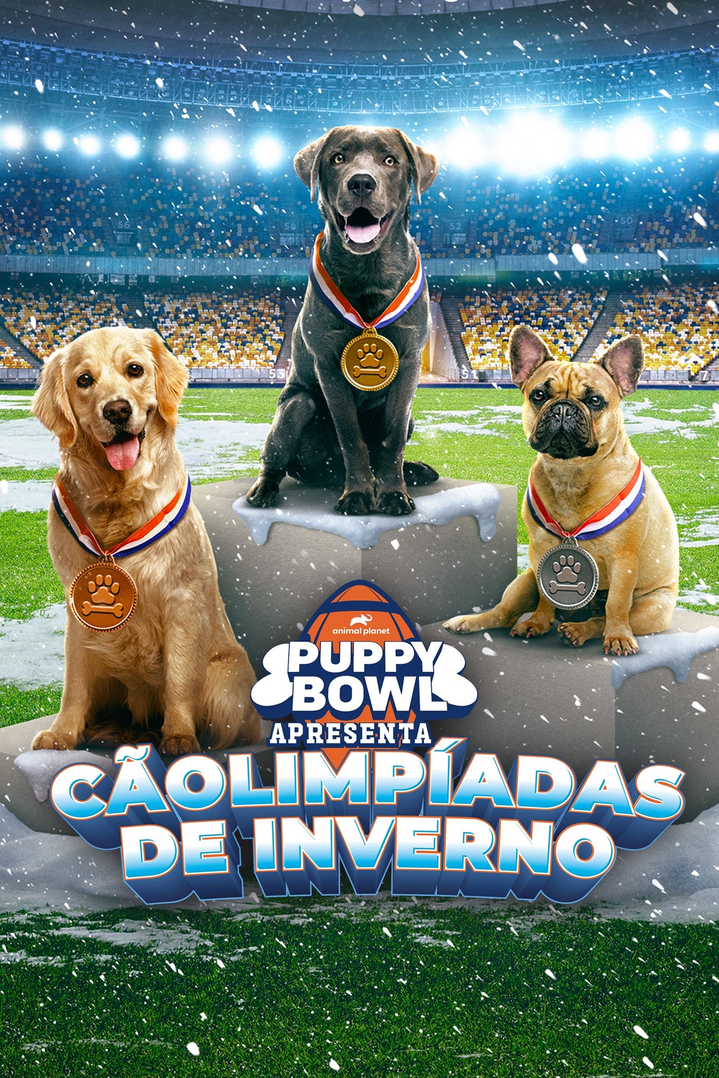 Poster de Puppy Bowl Apresenta: Cãolimpíadas de Inverno