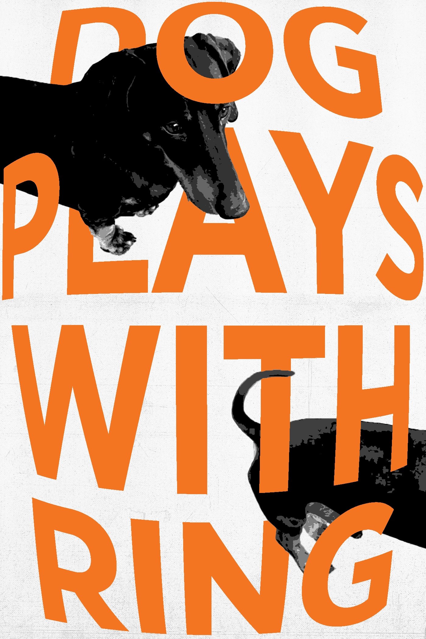 Poster de Dog Plays With Ring