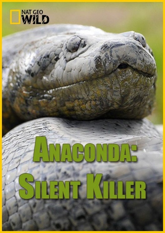 Poster de Anaconda: Assassina Silenciosa