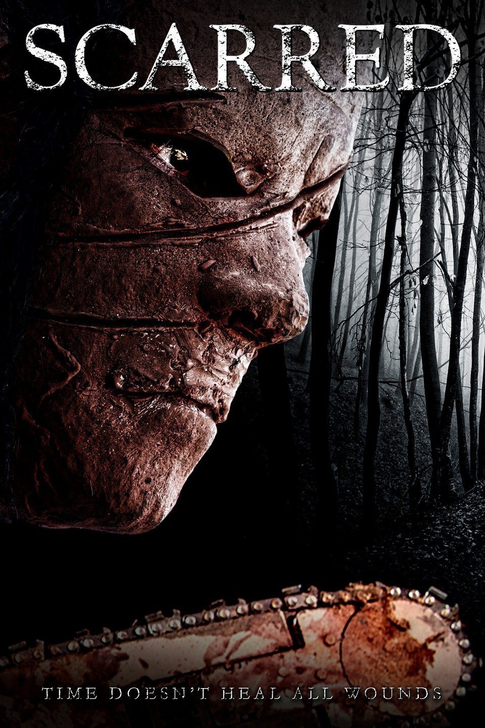 Poster de Scarred