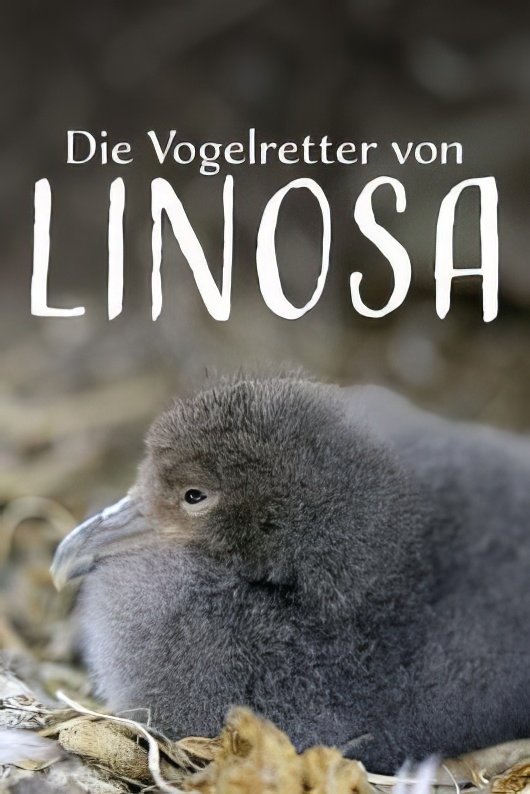 Poster de Die Vogelretter von Linosa