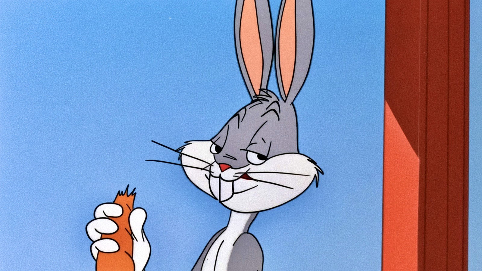 Homeless Hare