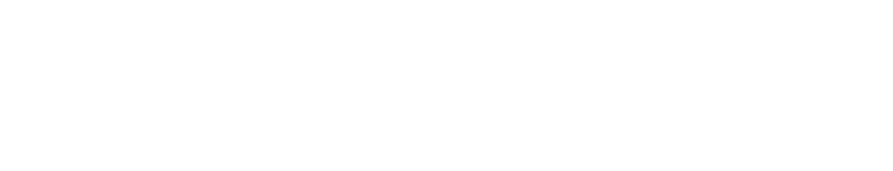 The Tan Ean Kiam Foundation-SGIFF Southeast Asian-Documentary