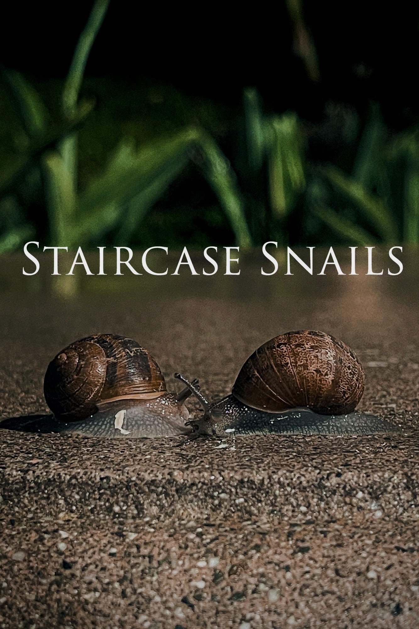 Poster de Staircase Snails