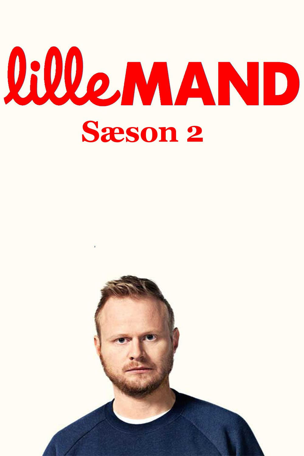 Poster de Temporada 2