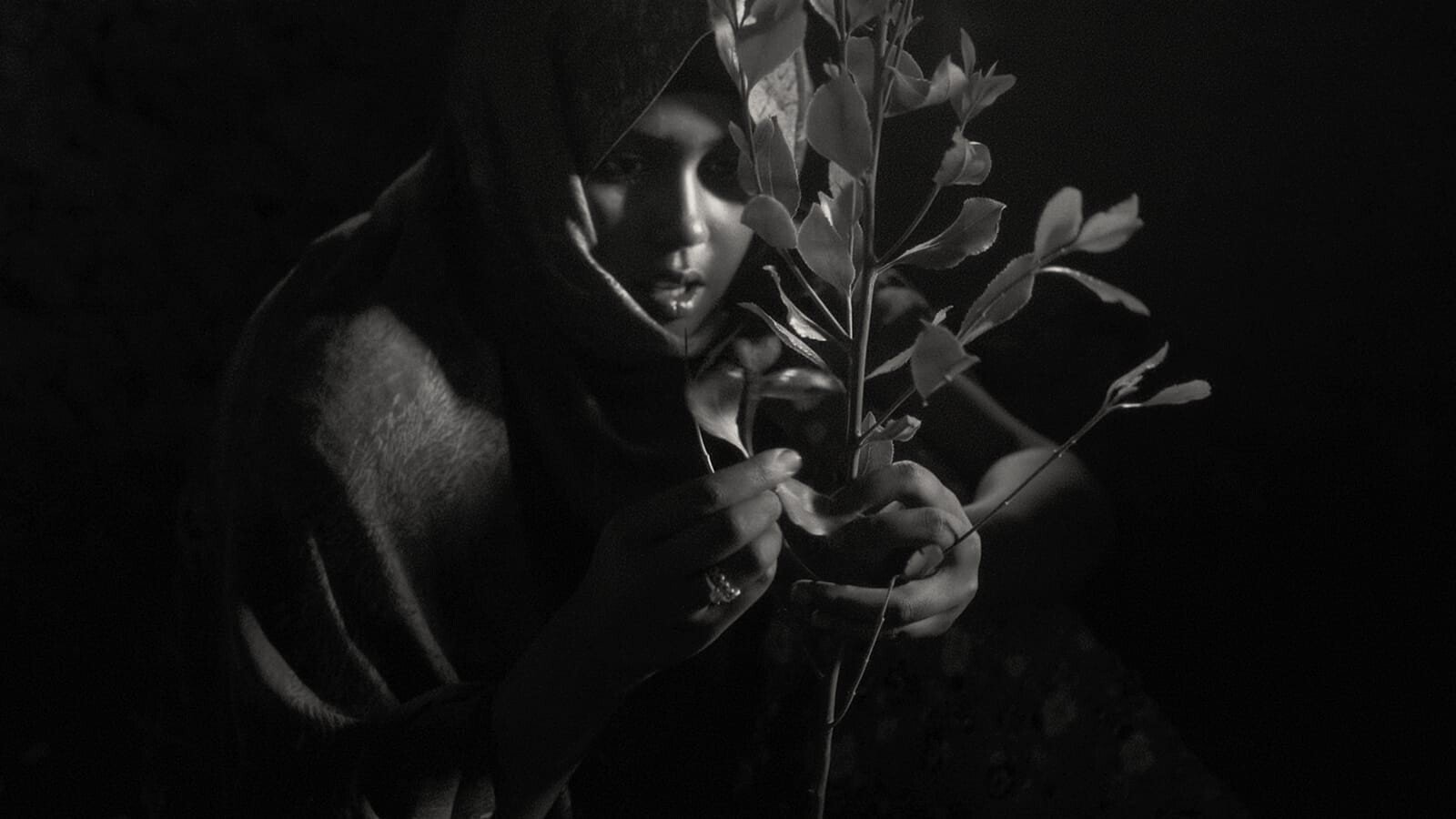 Backdrop image