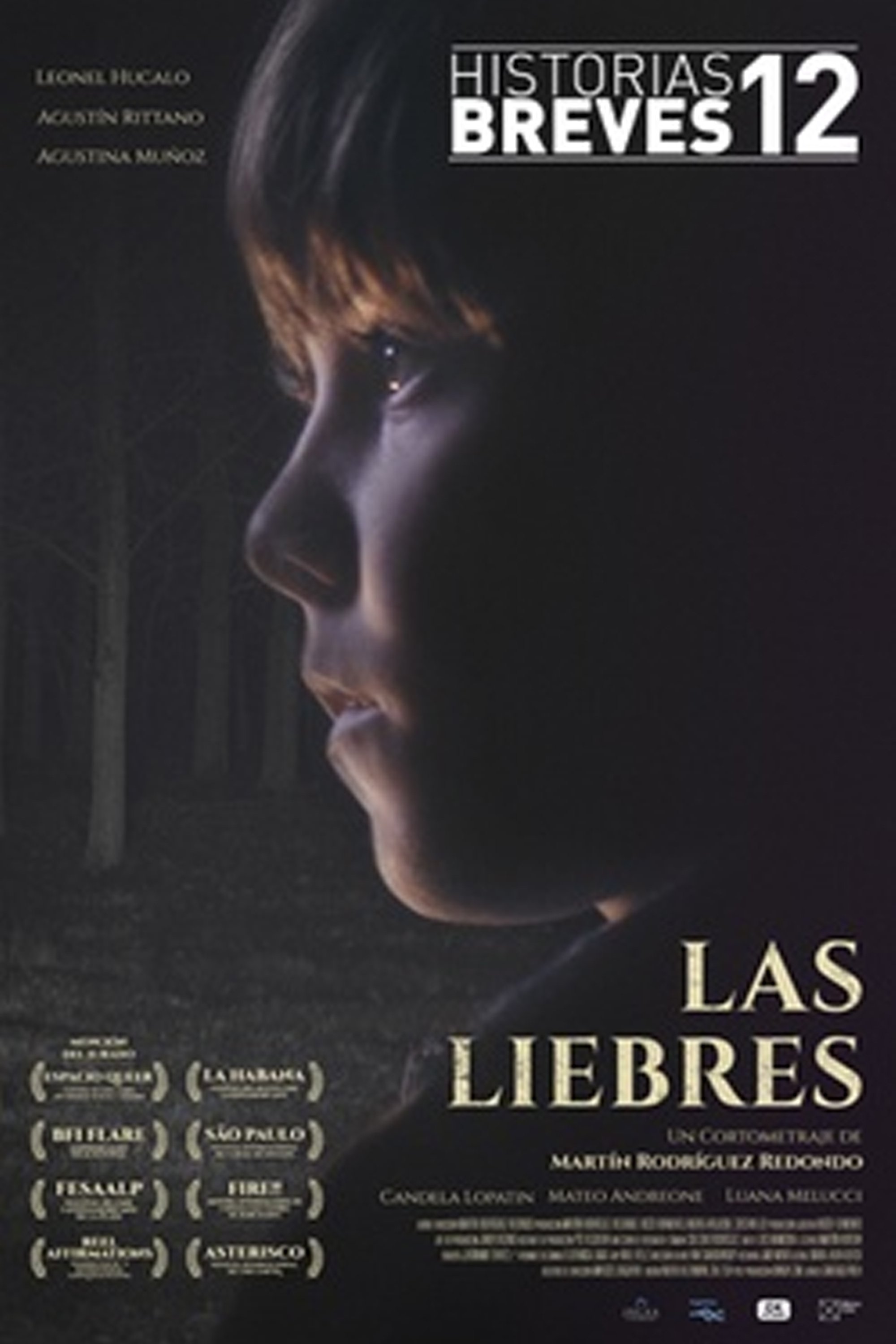 Poster de Las Liebres