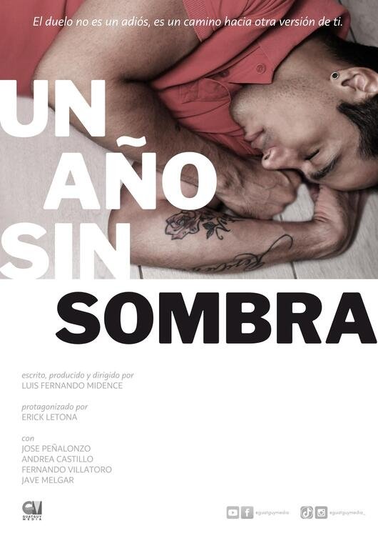 Poster de Un año sin sombra