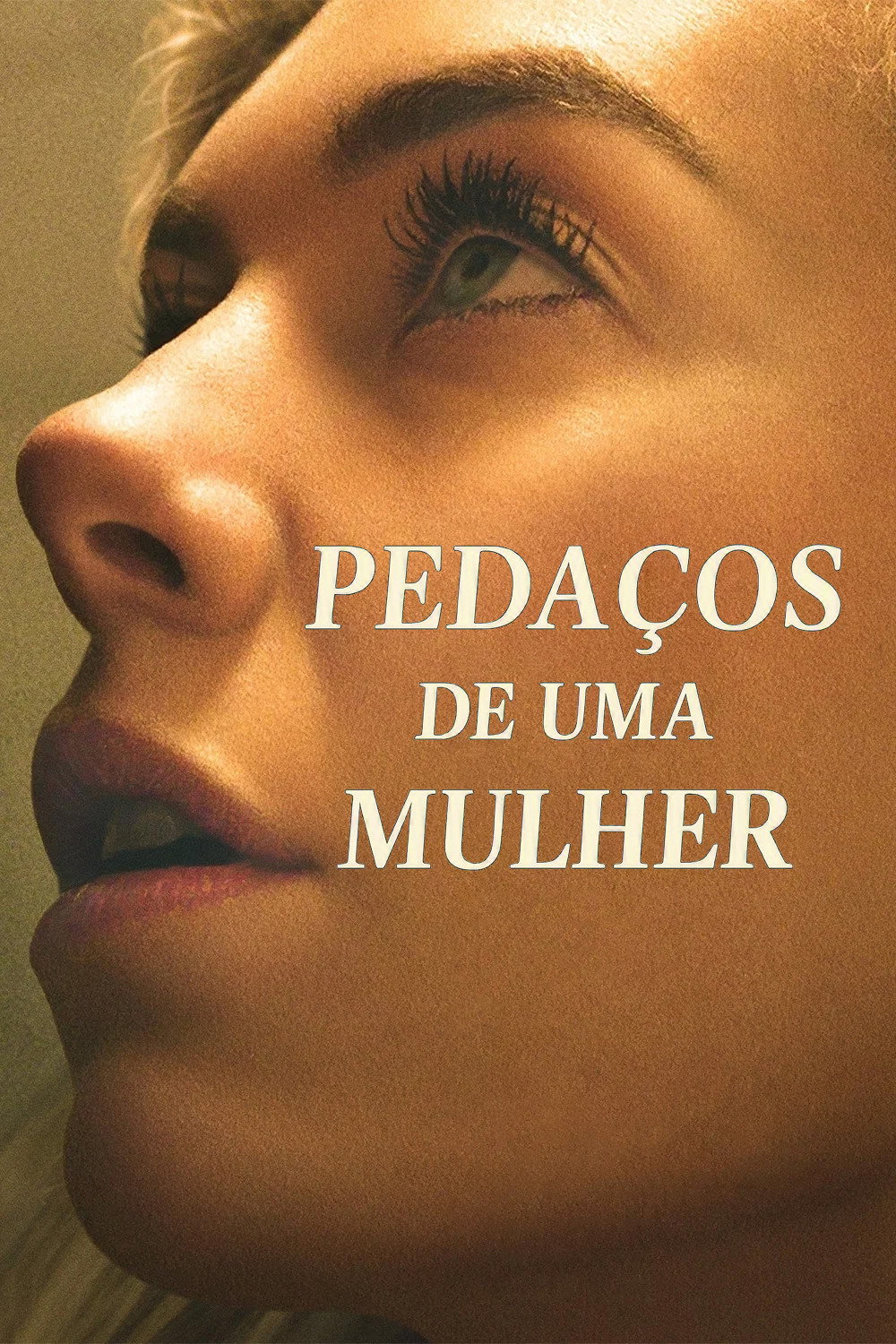Pedaços de uma Mulher