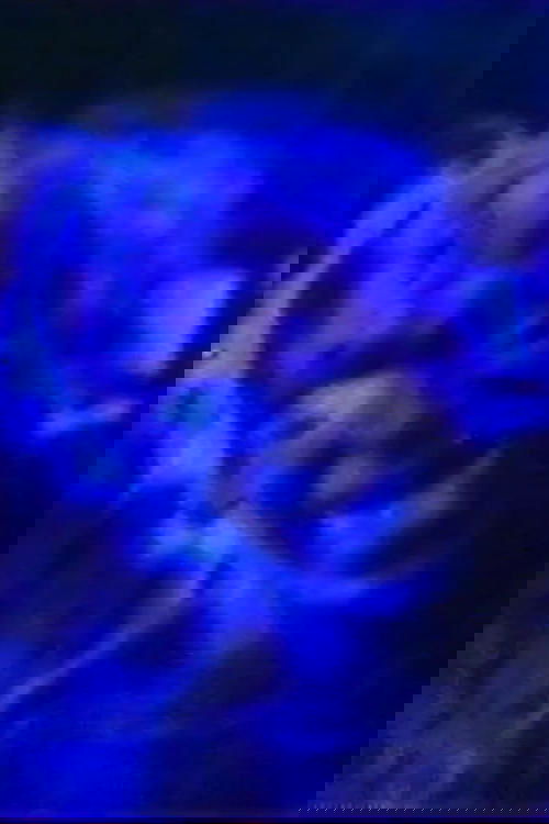 Air Cries 'Empty Water'