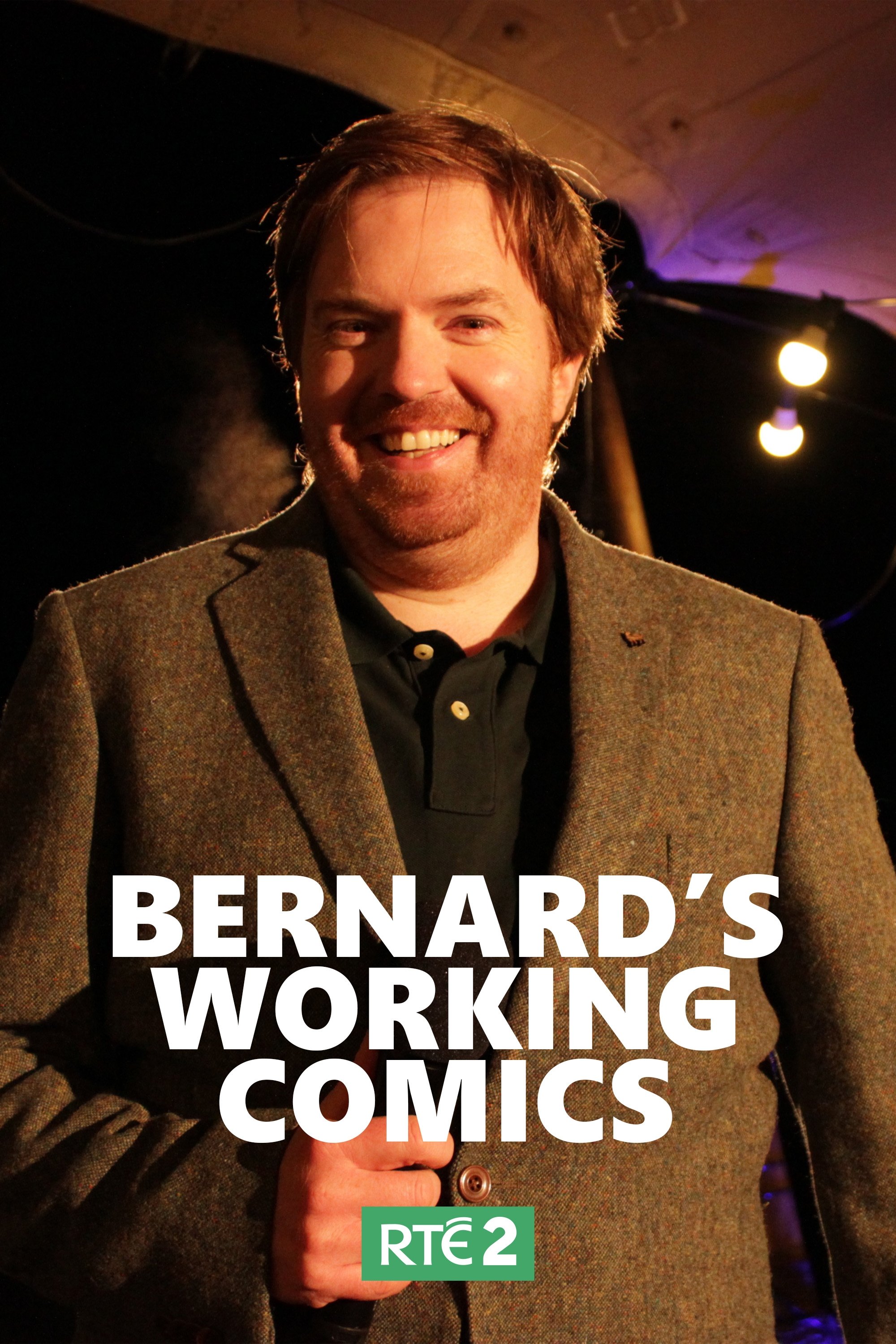 Poster de Bernard's Working Comics