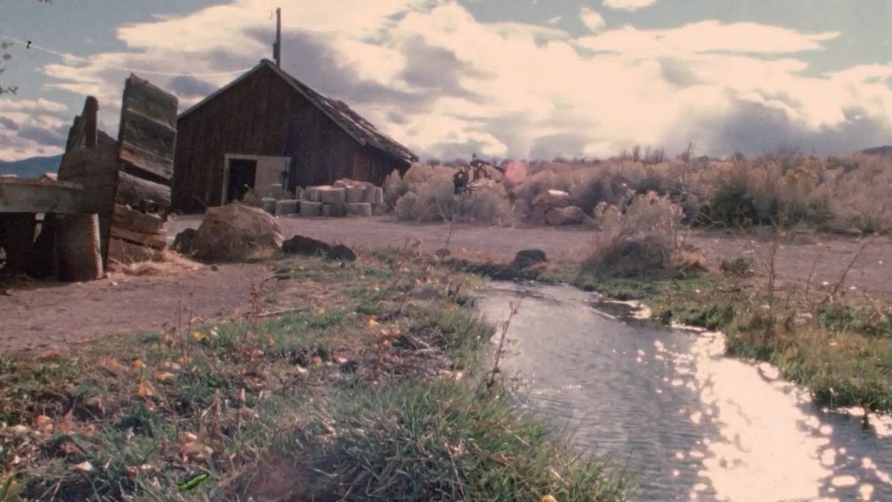 Backdrop image