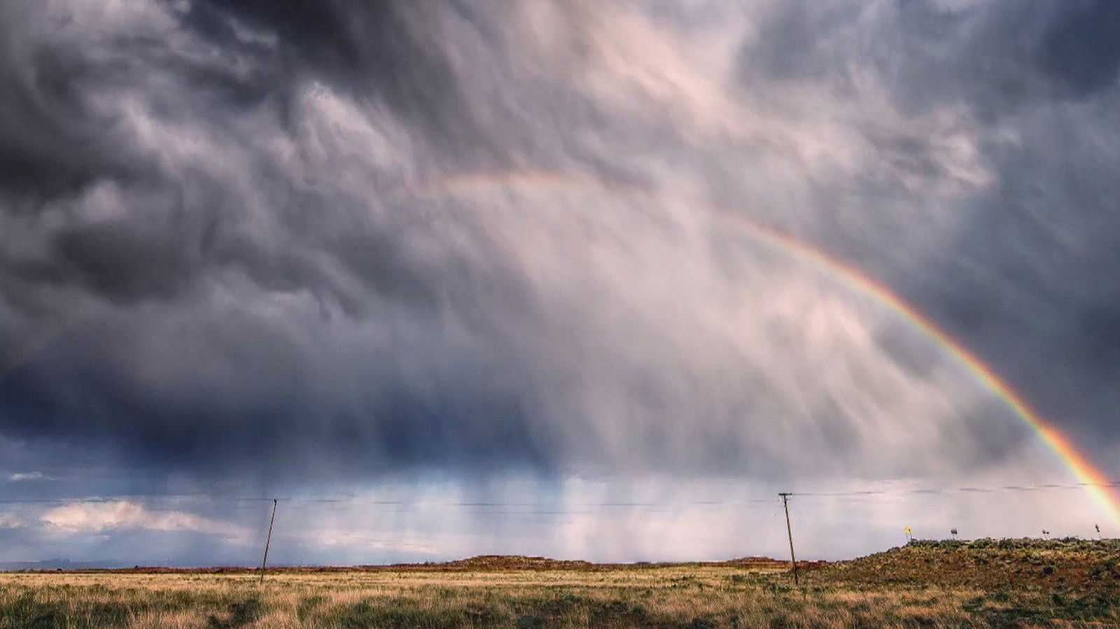 Wild Weather Special