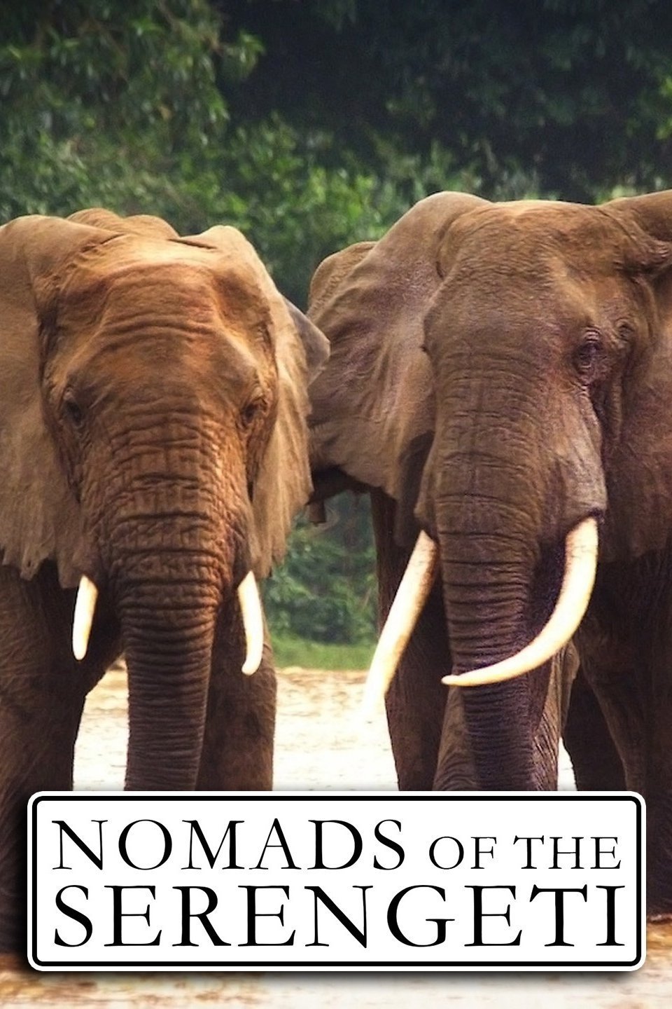 Poster de Nomads of the Serengeti