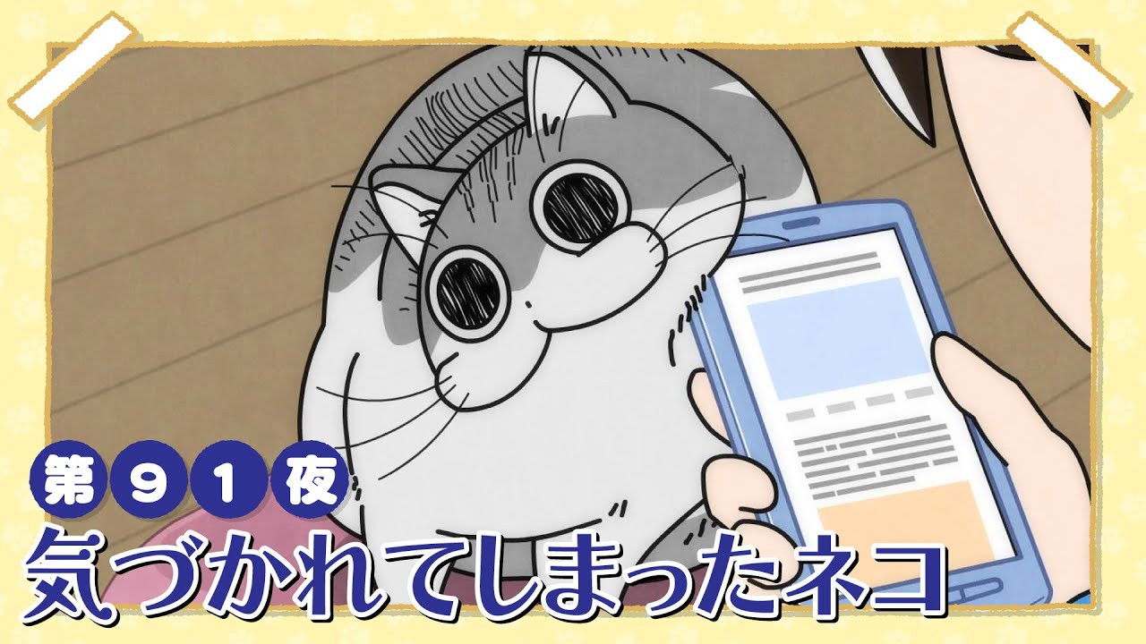 Night 91: Exposed Cat