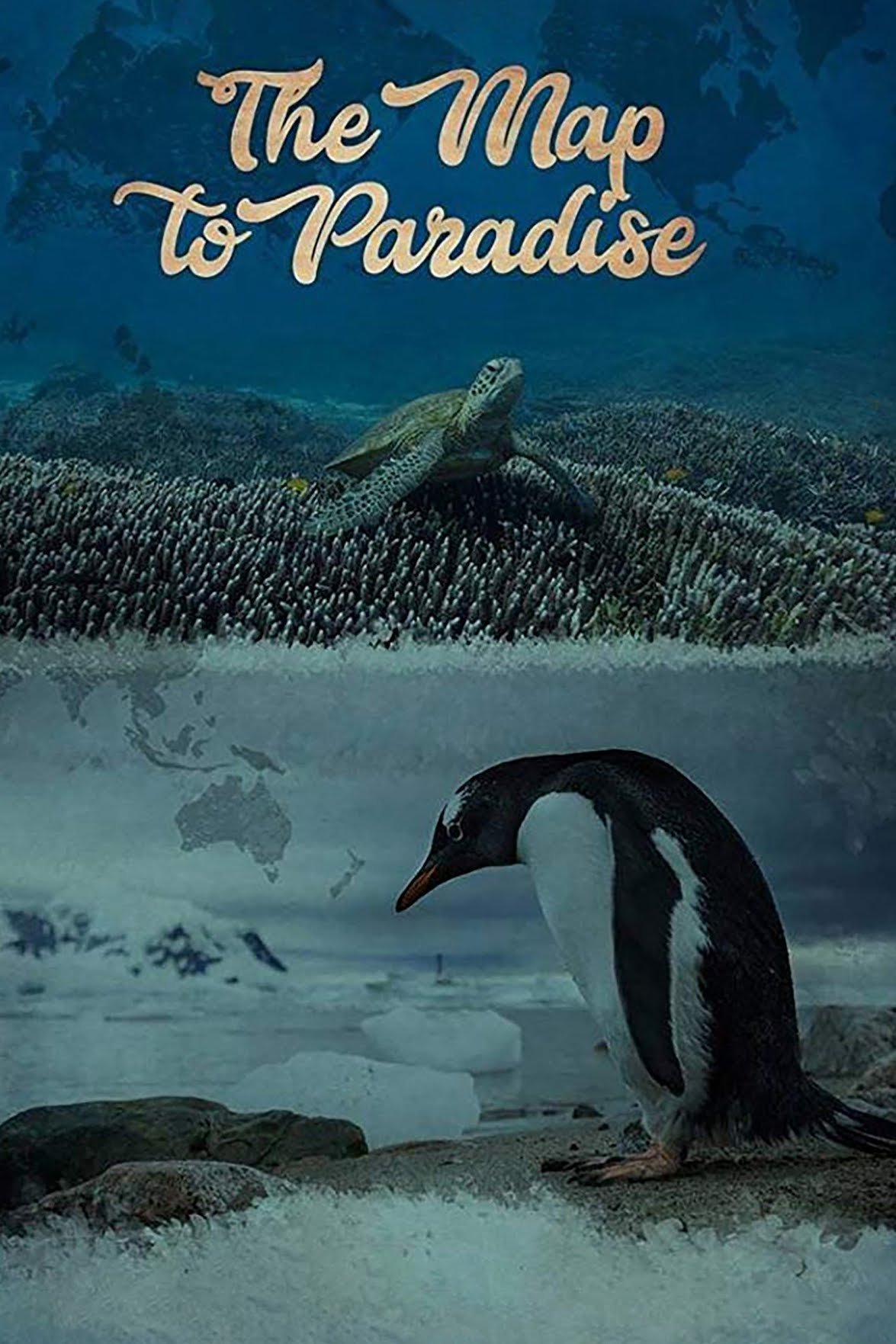 Poster de Paraíso SubAquático: A Defesa dos Oceanos