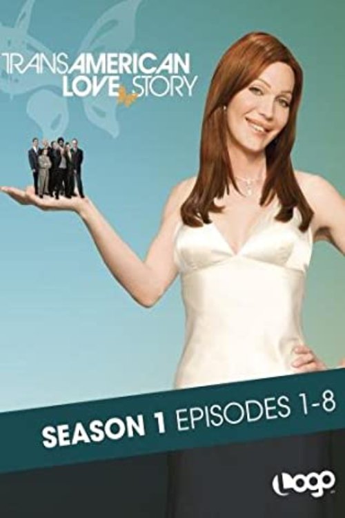 Poster de Transamerican Love Story