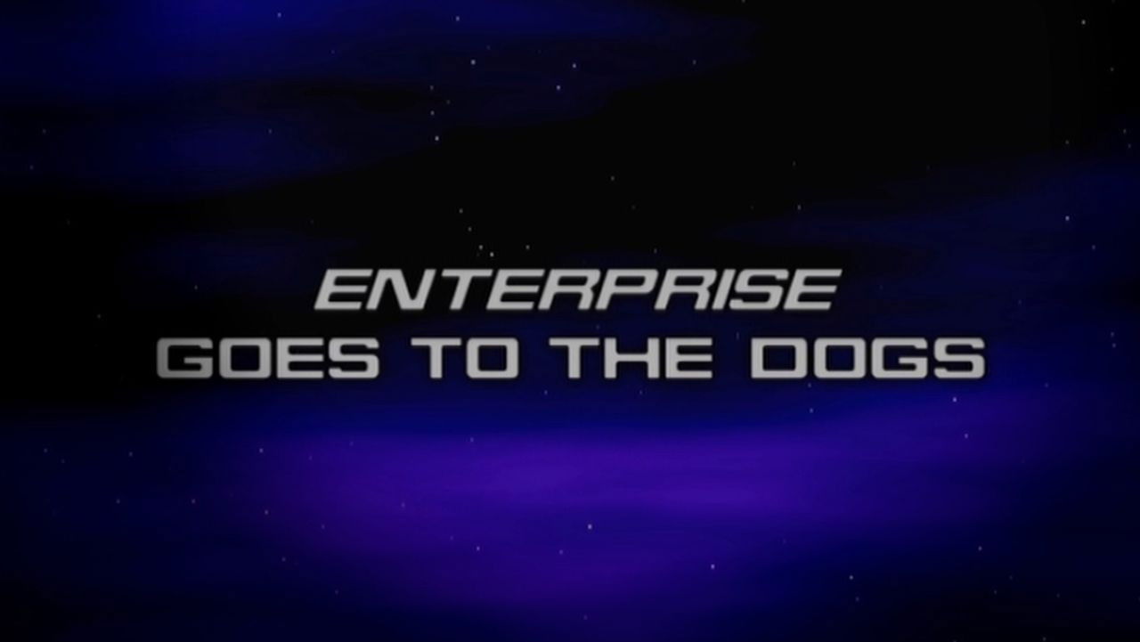 Enterprise Goes to the Dogs