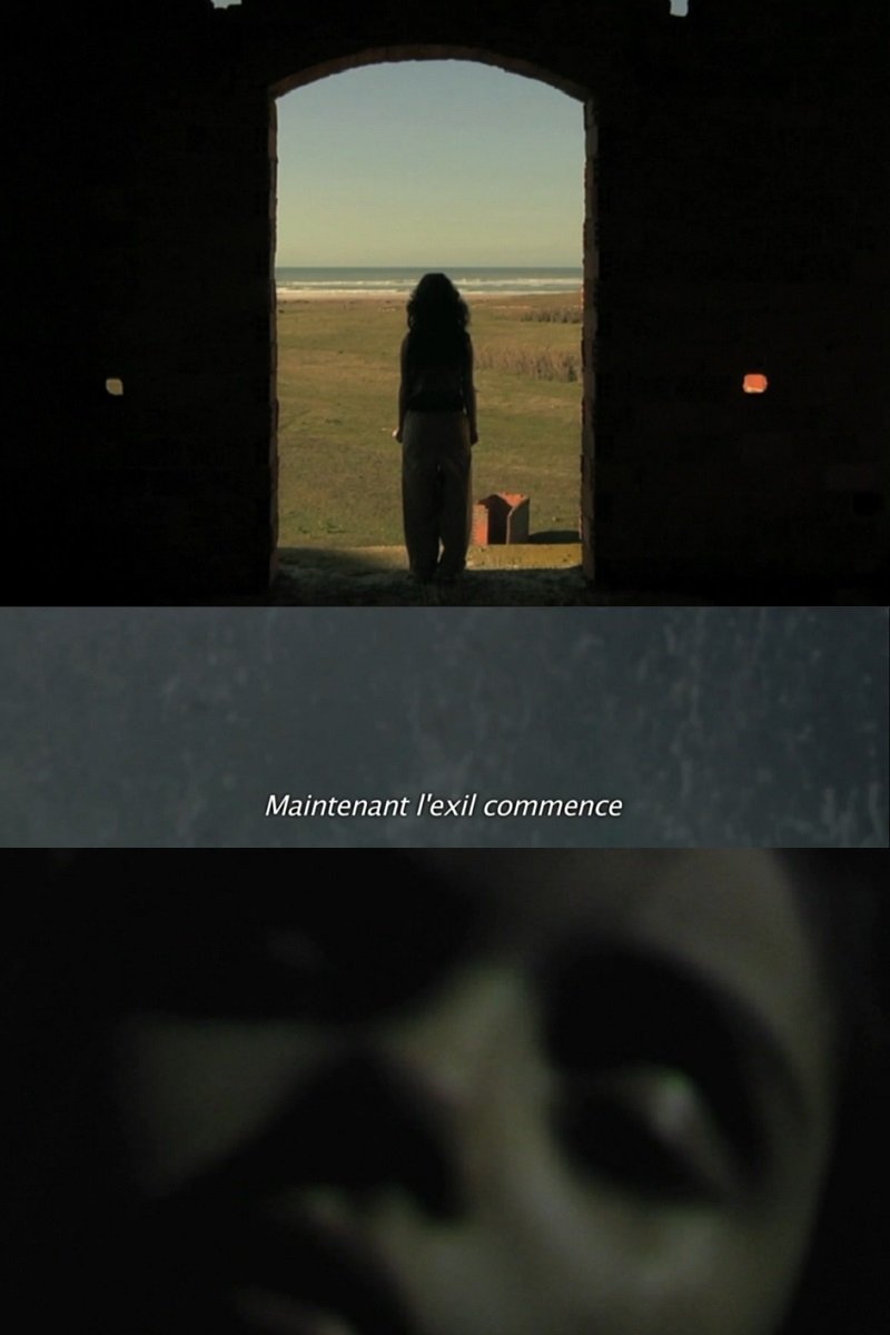 Poster de La fièvre