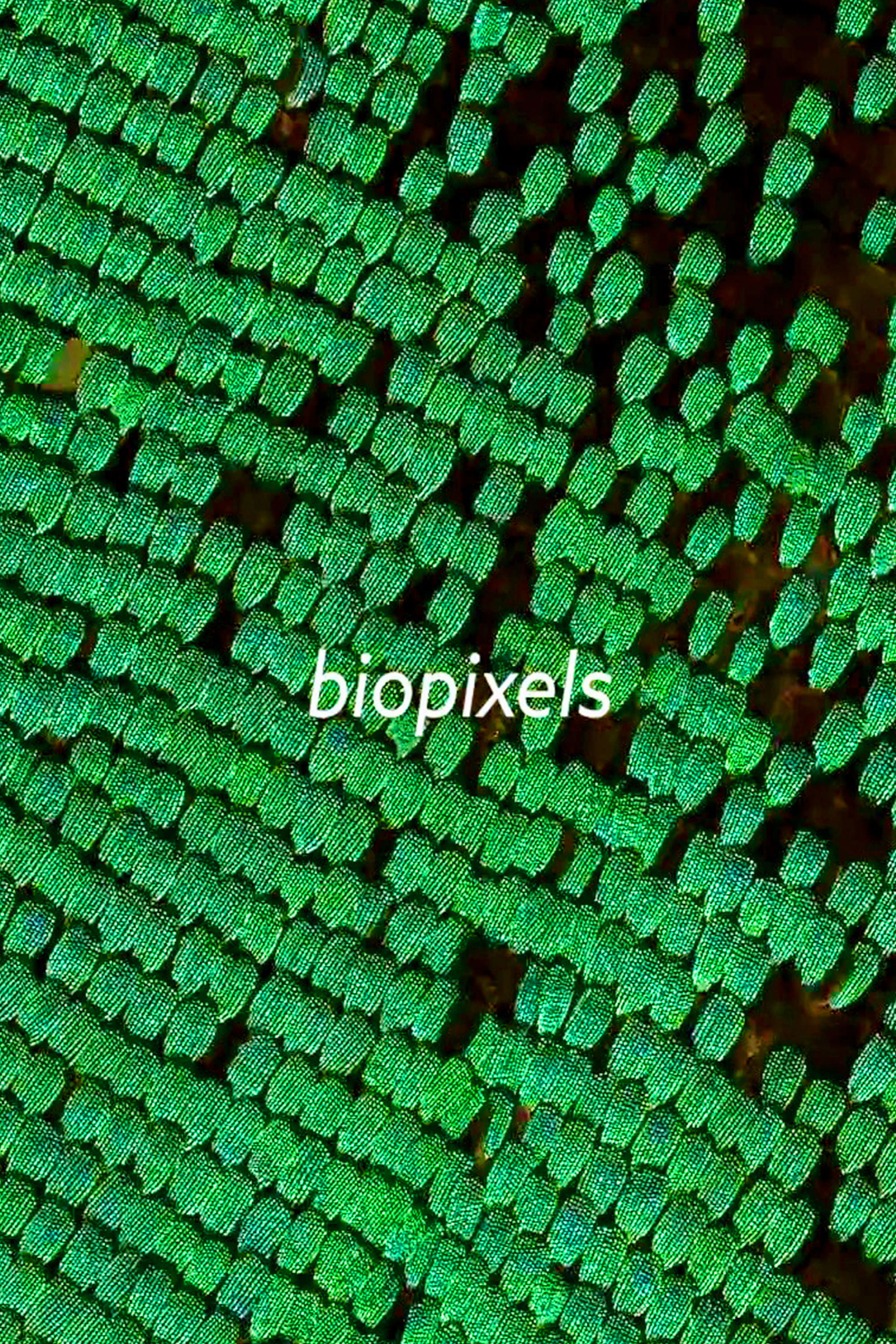 Poster de biopixels