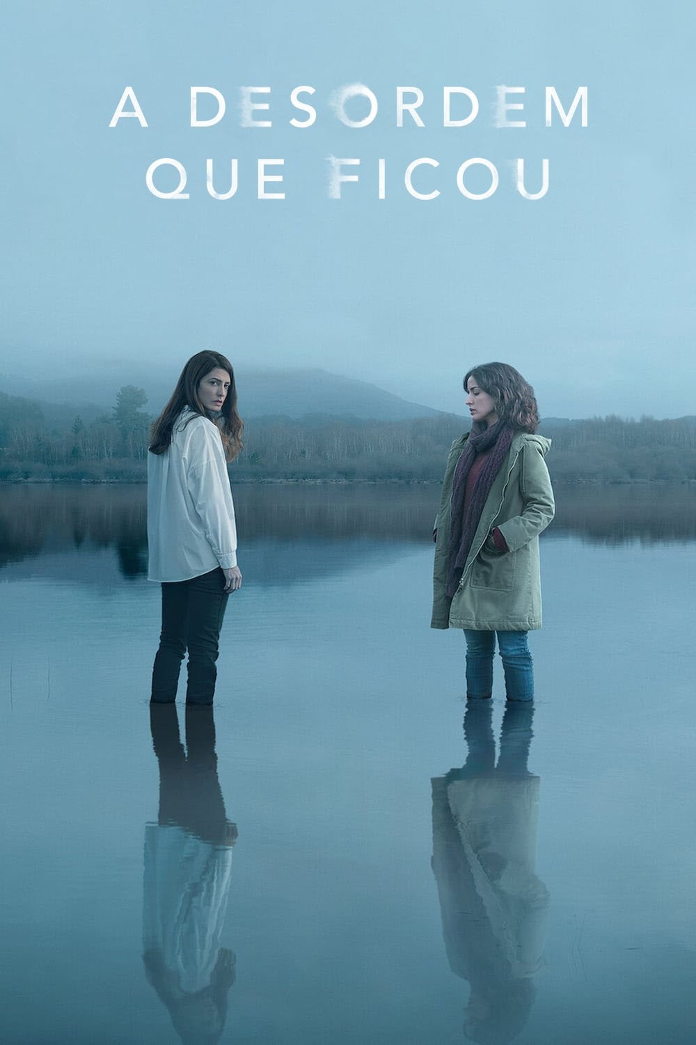 Poster de A Desordem que Ficou