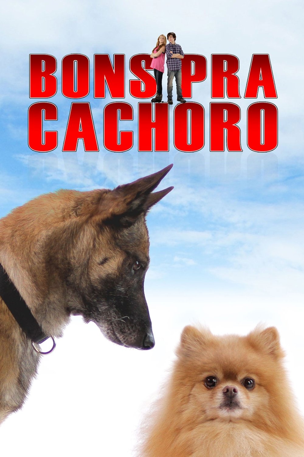 Poster de Bons Pra Cachorro