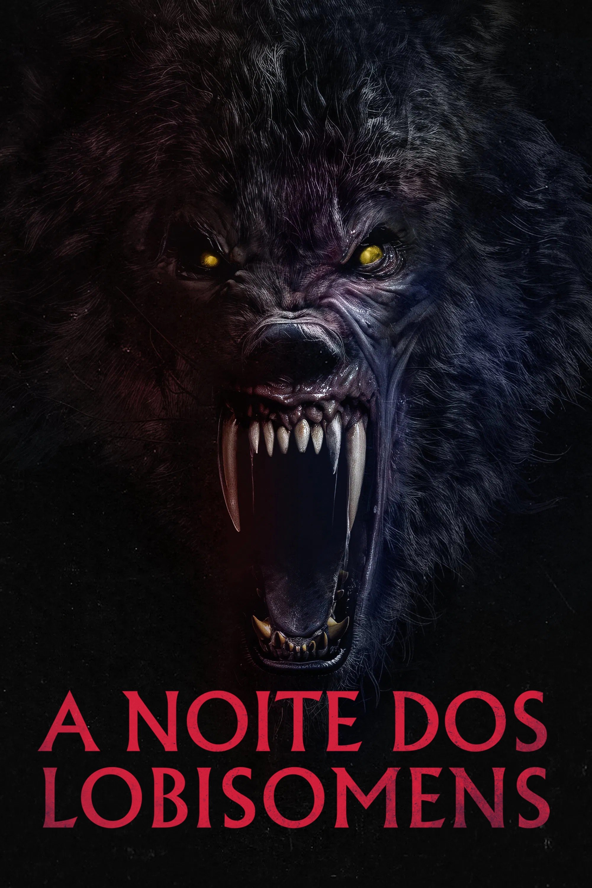 Poster de A Noite dos Lobisomens