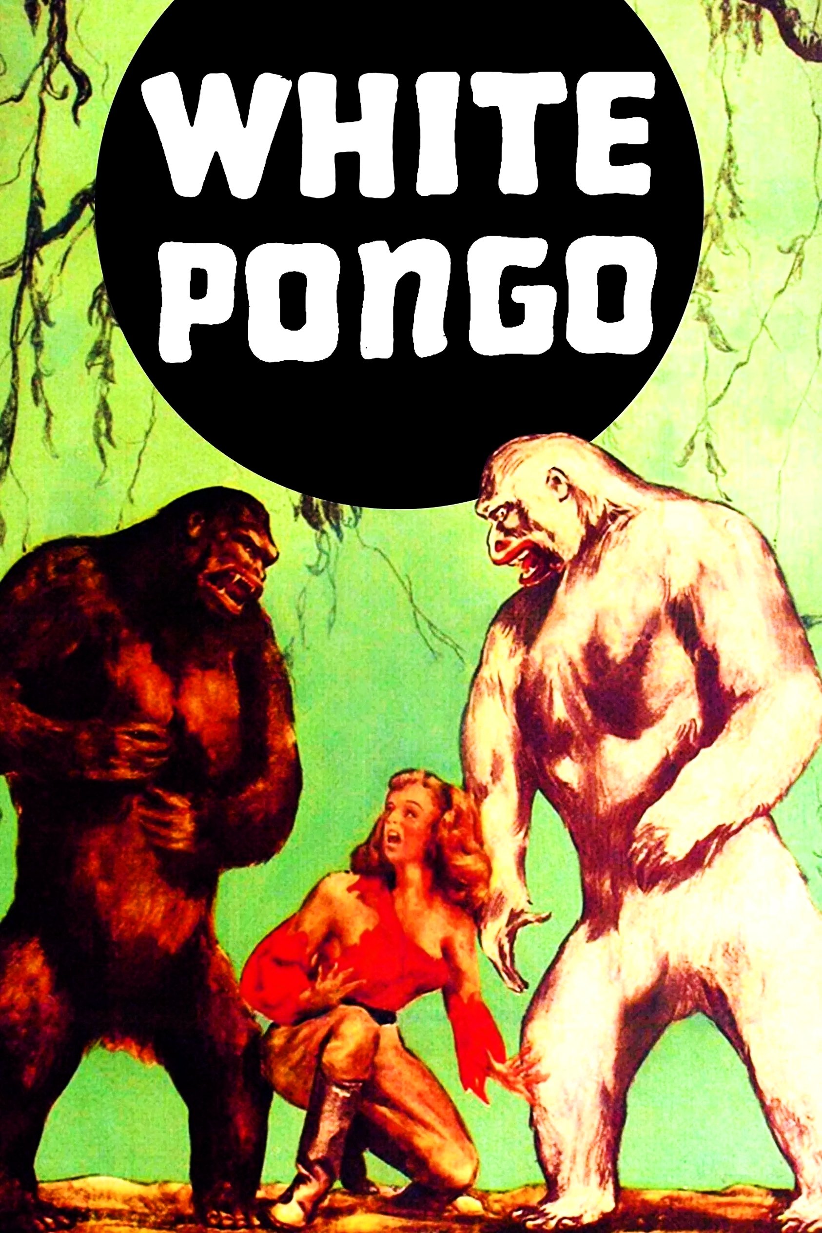 Poster de White Pongo