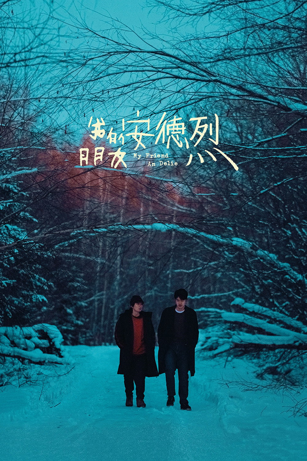 Poster de 我的朋友安德烈