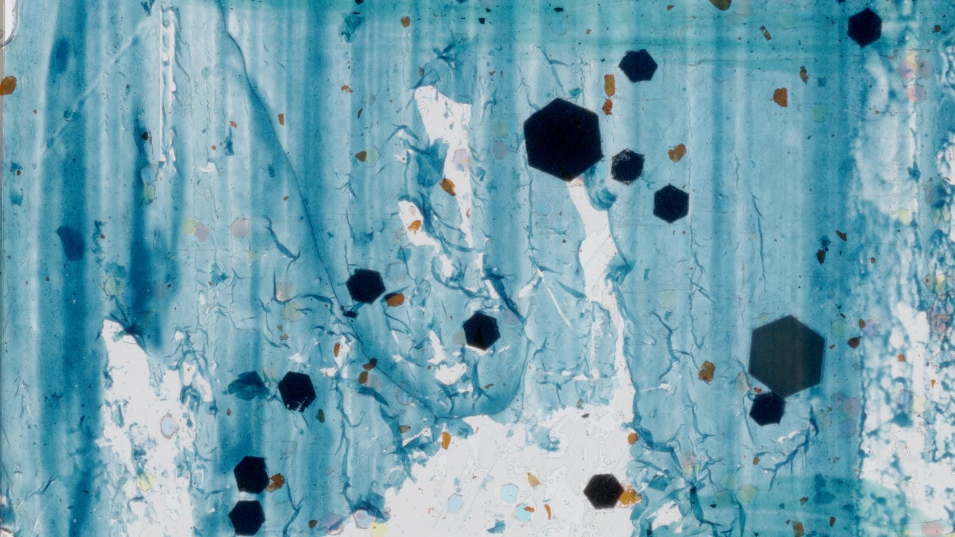 Anne-Marie Bouchard