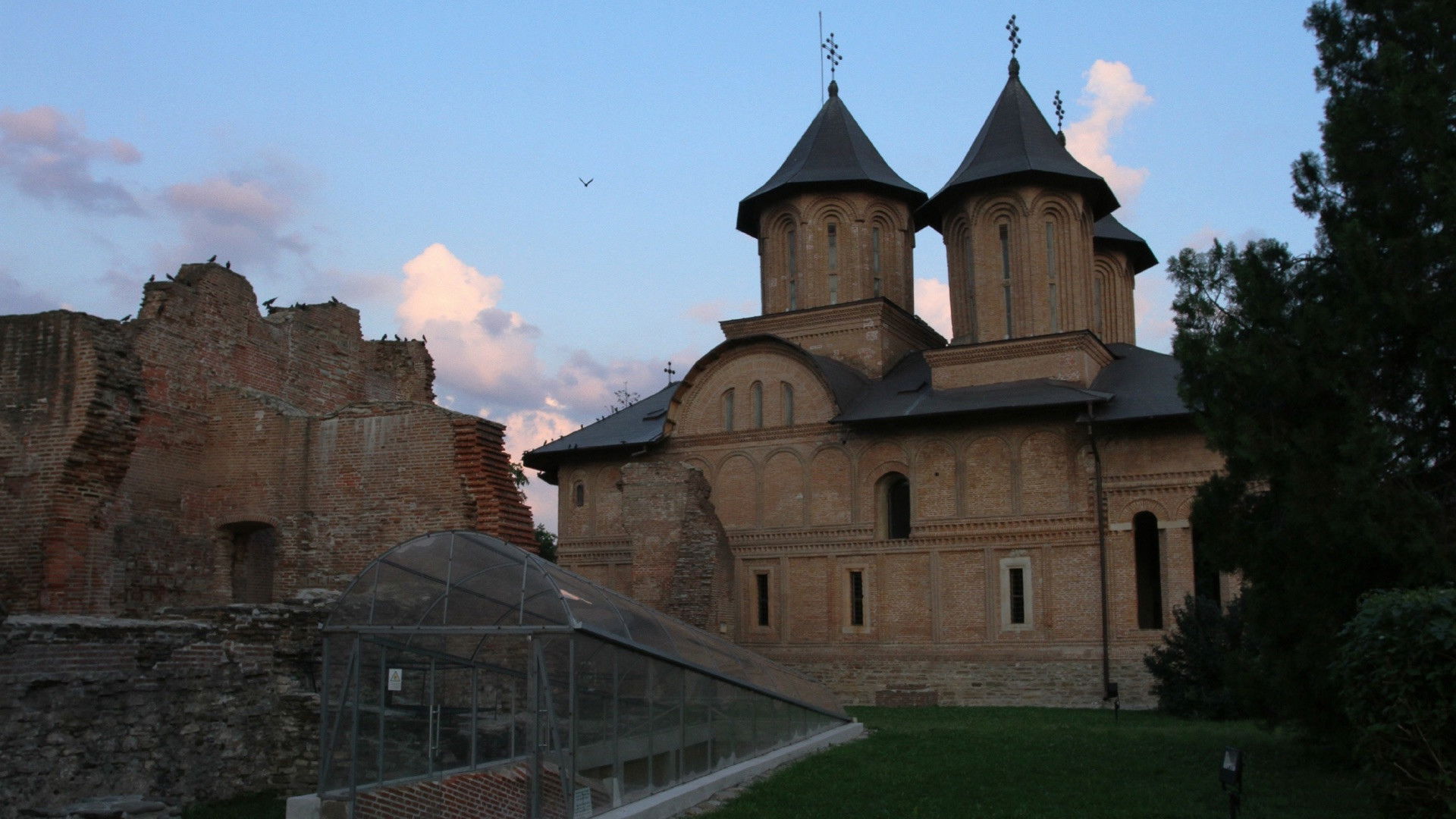 Halloween Special - Transylvania