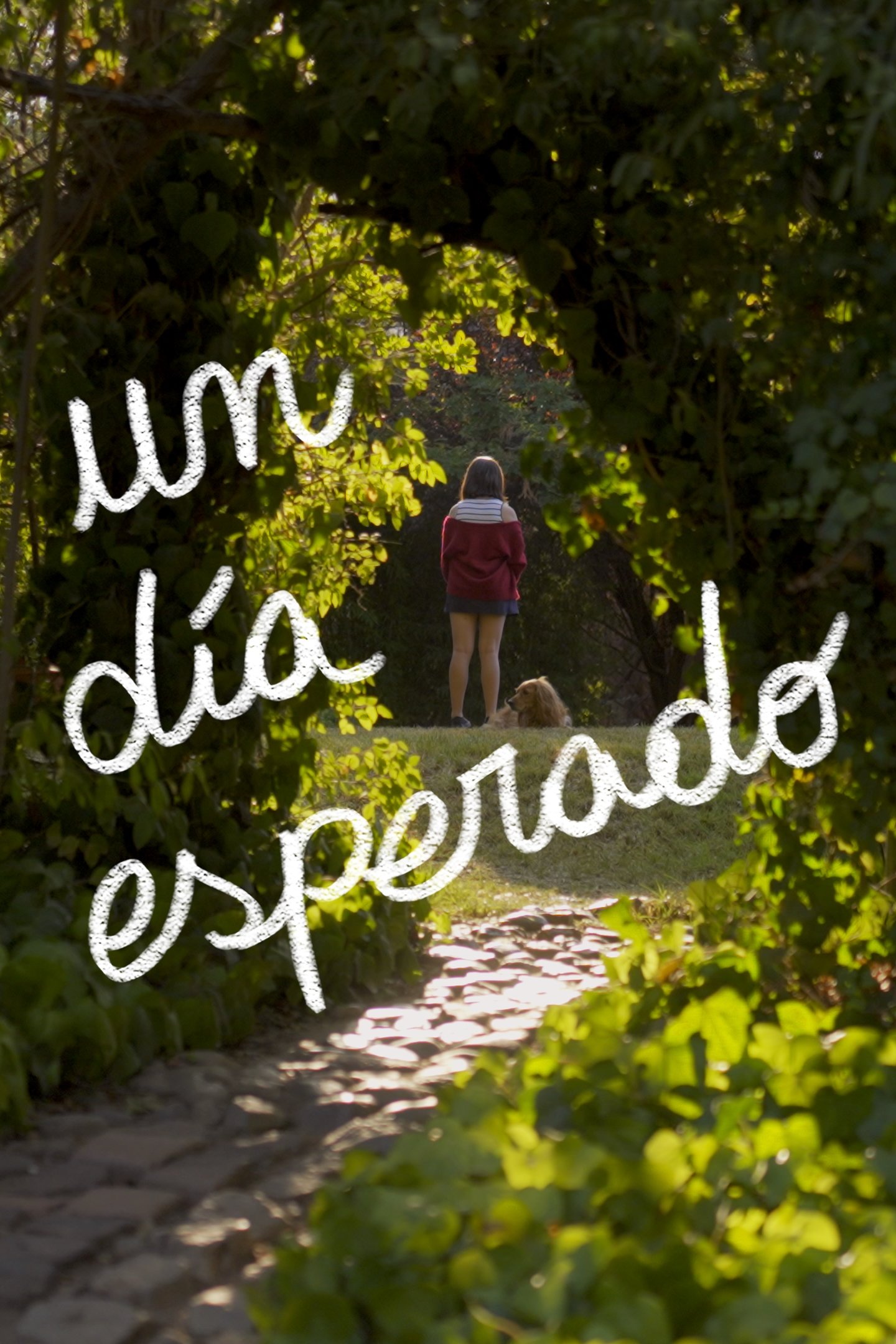 Poster de Un Día Esperado