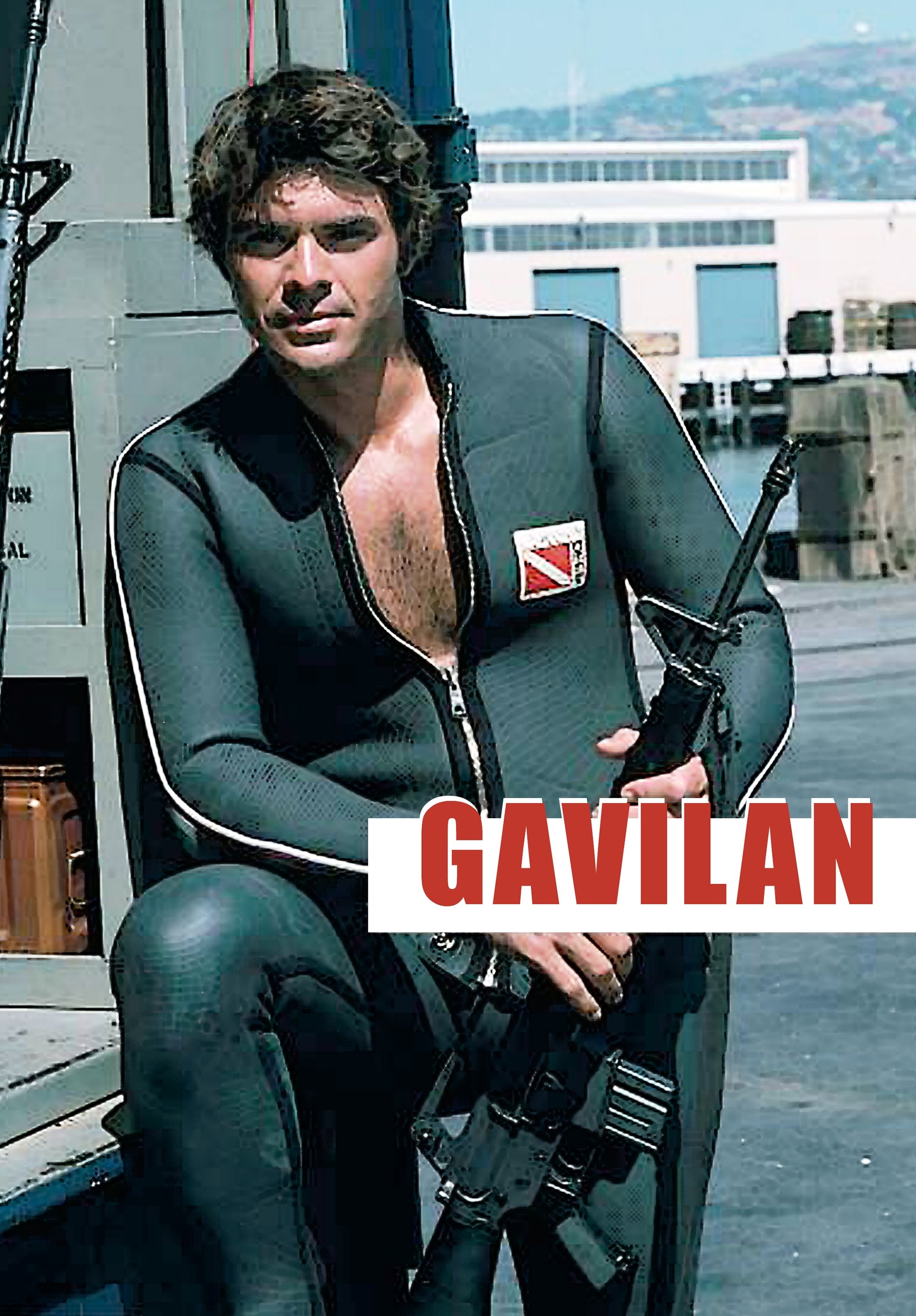 Poster de Gavilan