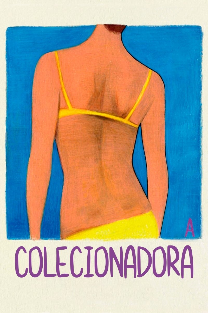 Poster de A Colecionadora