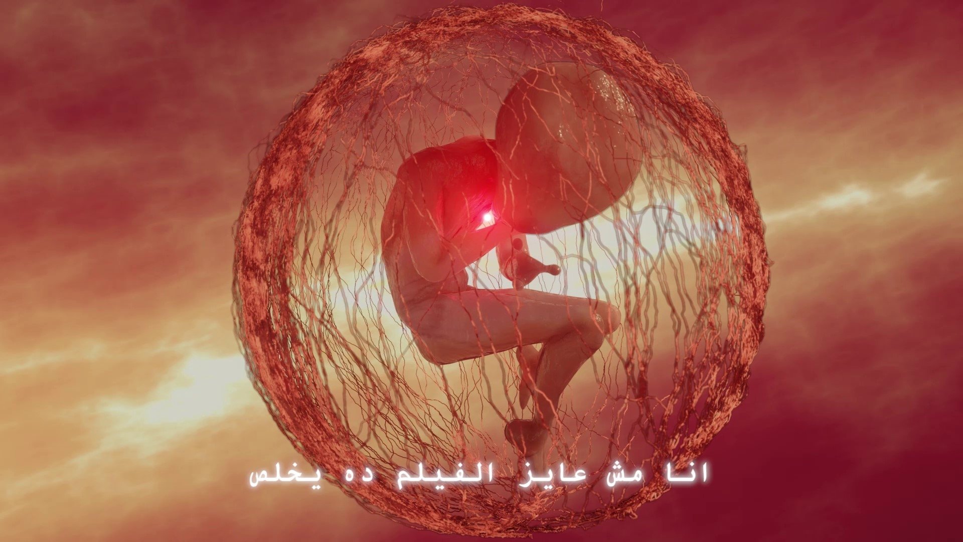 Gehad Elakhal