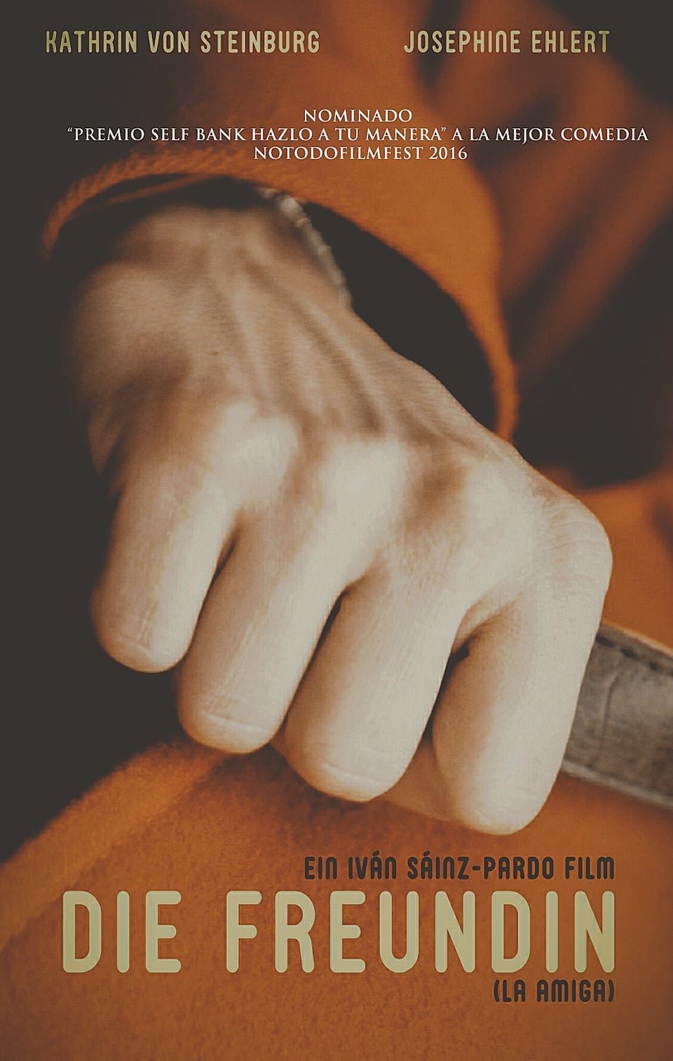 Poster de Die Freundin