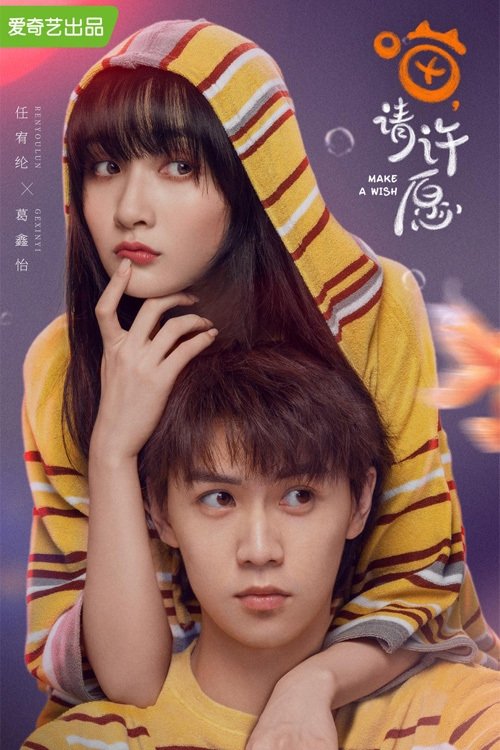 Poster de Make a Wish