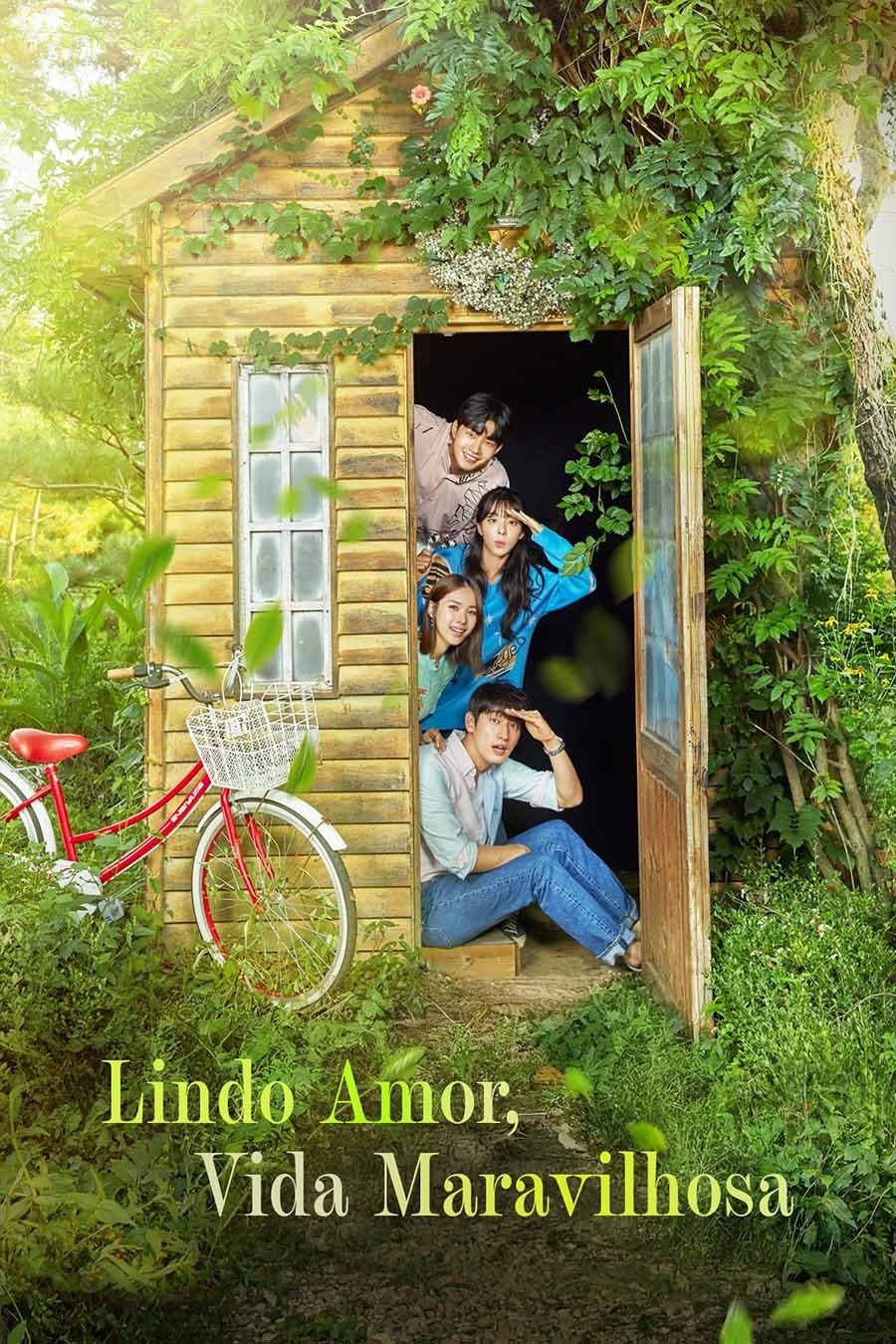Poster de Lindo Amor, Vida Maravilhosa