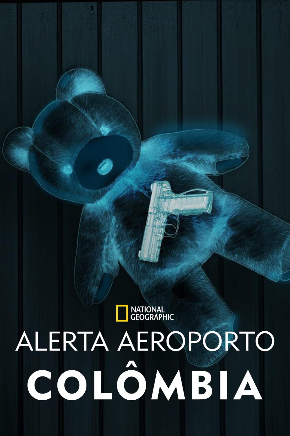 Poster de Alerta Aeroporto: Colômbia
