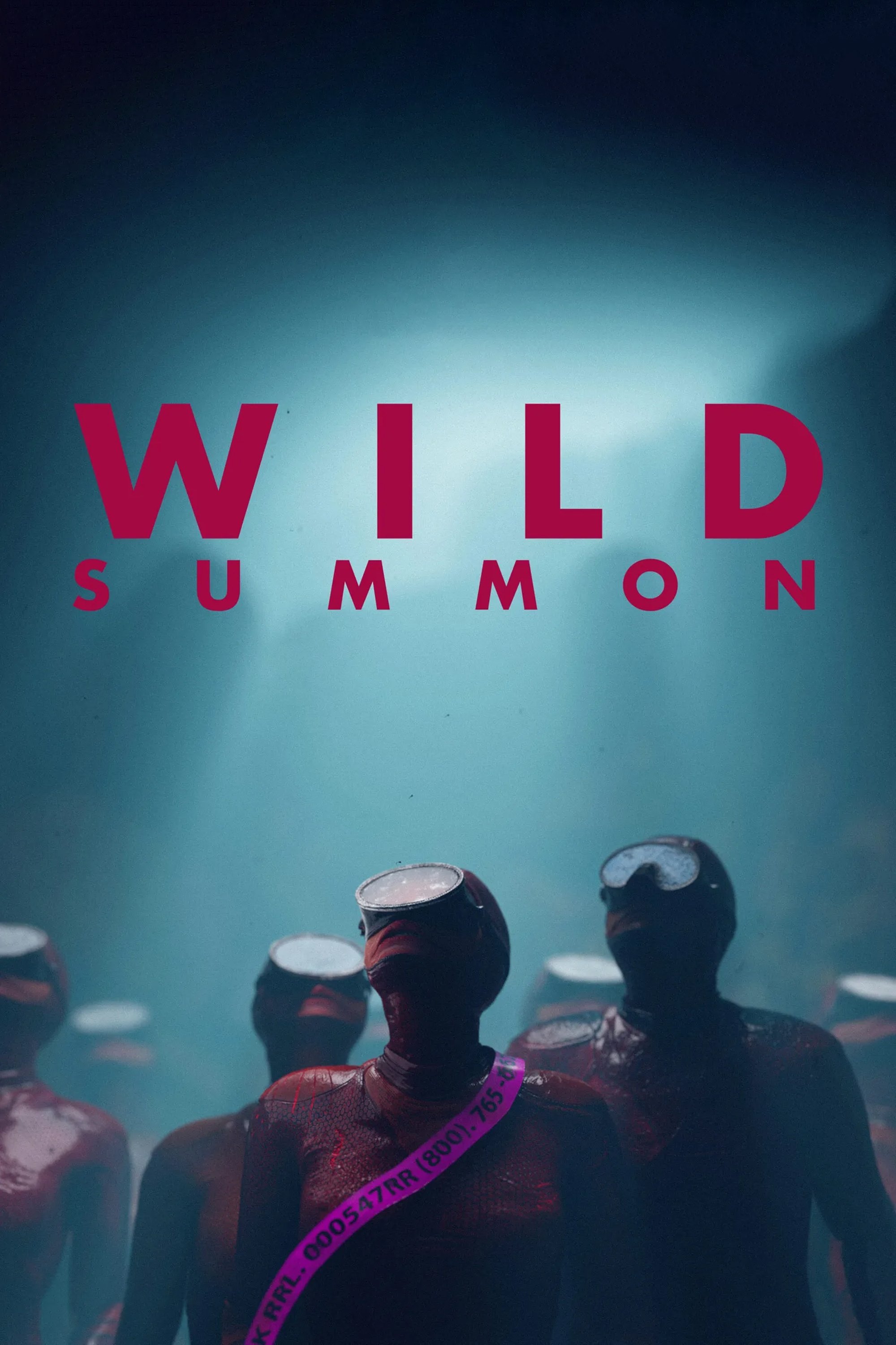 Poster movie