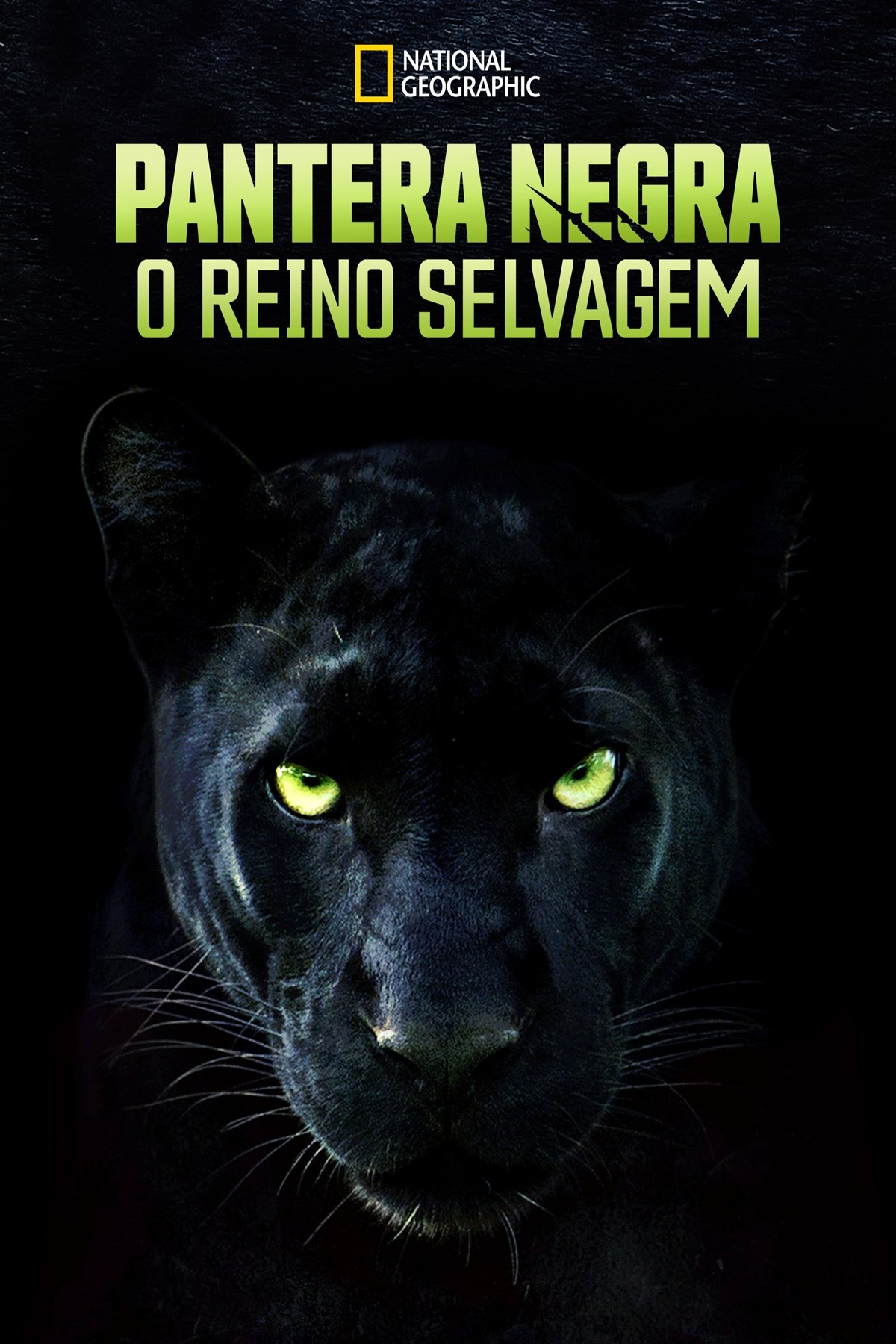 Poster de Pantera Negra: O Reino Selvagem